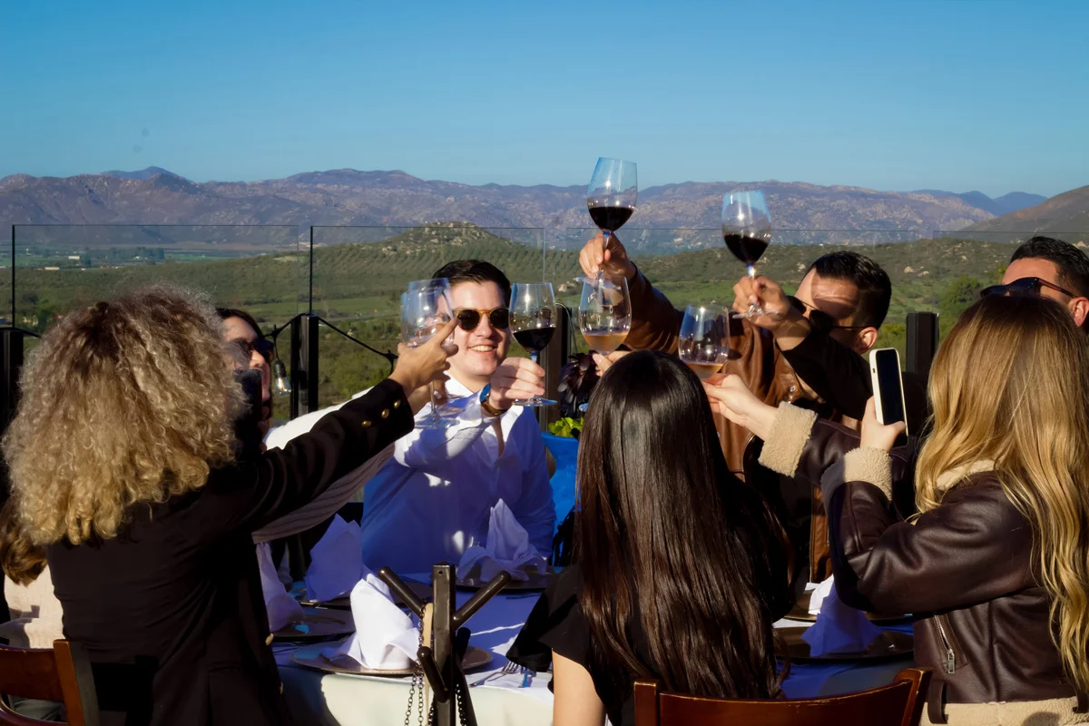 Grupo brindando con vino en Valle de Guadalupe
